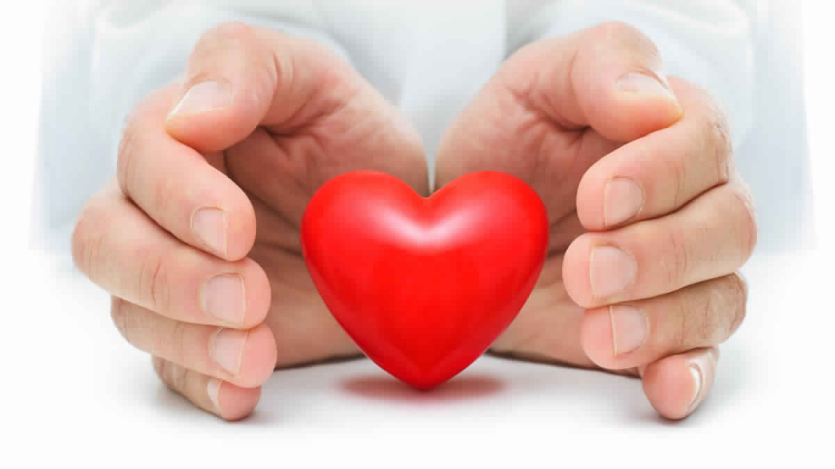 hands-holding-a-heart-organ-donation